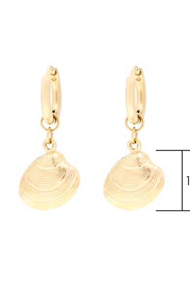 Earrings Shell Beach Argenté Acier inoxydable h5 Image2